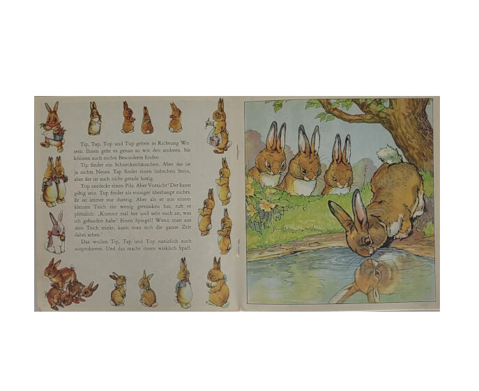 „Innenseite Die Wunschbücher – Fünfzehn kleine Hasenkinder Nr. 5, farbige Tierillustrationen, sauber erhalten“