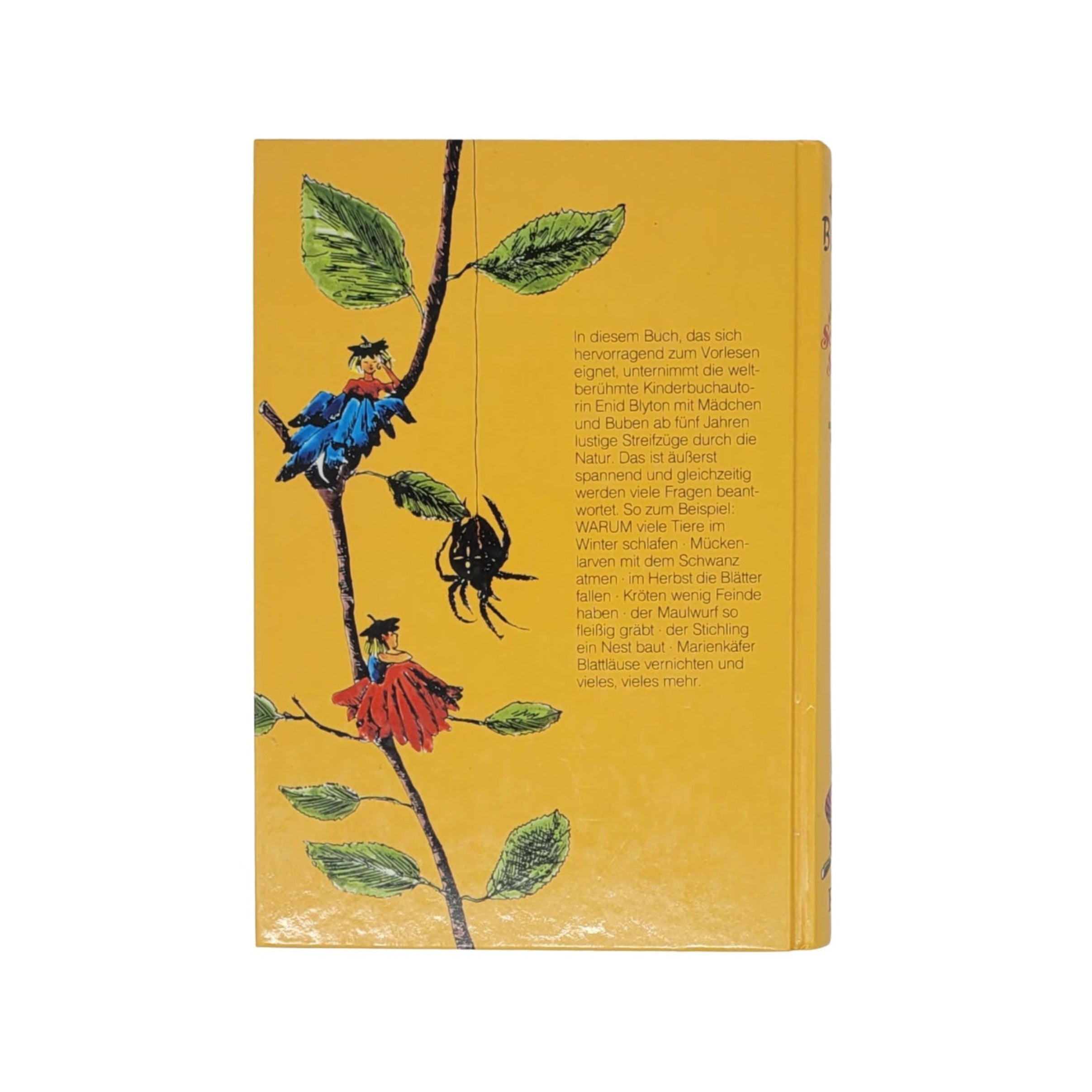 Kinderbuch Enid Blyton Schnipp, Schnapp, Schnupp und 27 andere Geschichten Engel Verlag 1991