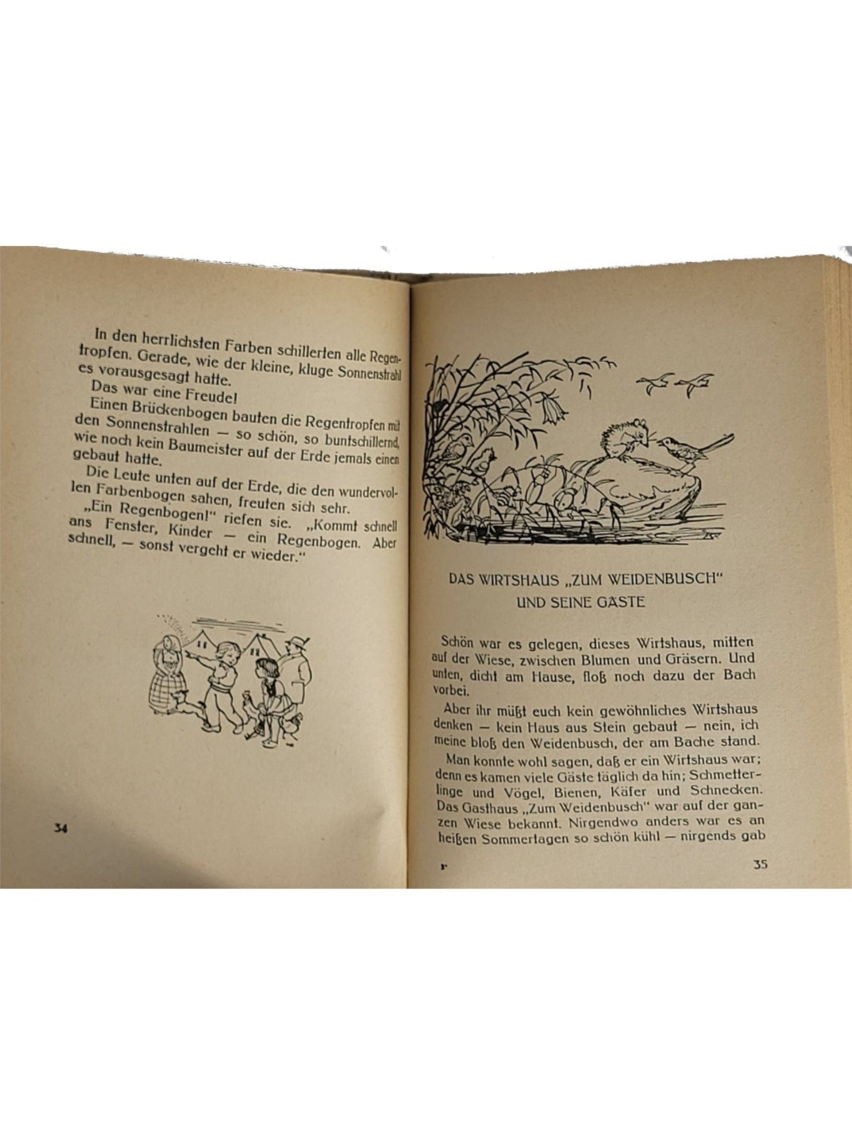 Kinderbuch Sophie Reinheimer - Von Sonne Regen Schnee und Wind Vier Tannen Verlag 1948