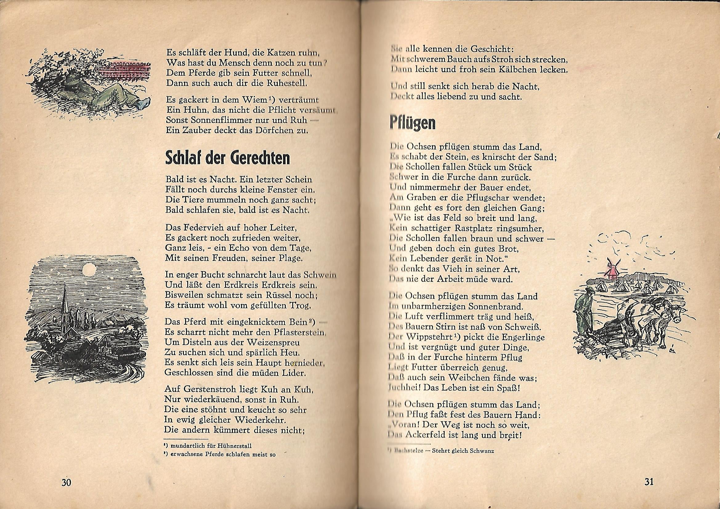 Lyrik Wolfgang Paquin Auf dem Lande Tiergedichte für große und kleine Leute Federzeichnungen von Ruth Kuboschek Druck Martin Saß & Co 1948 illustriertes Heft