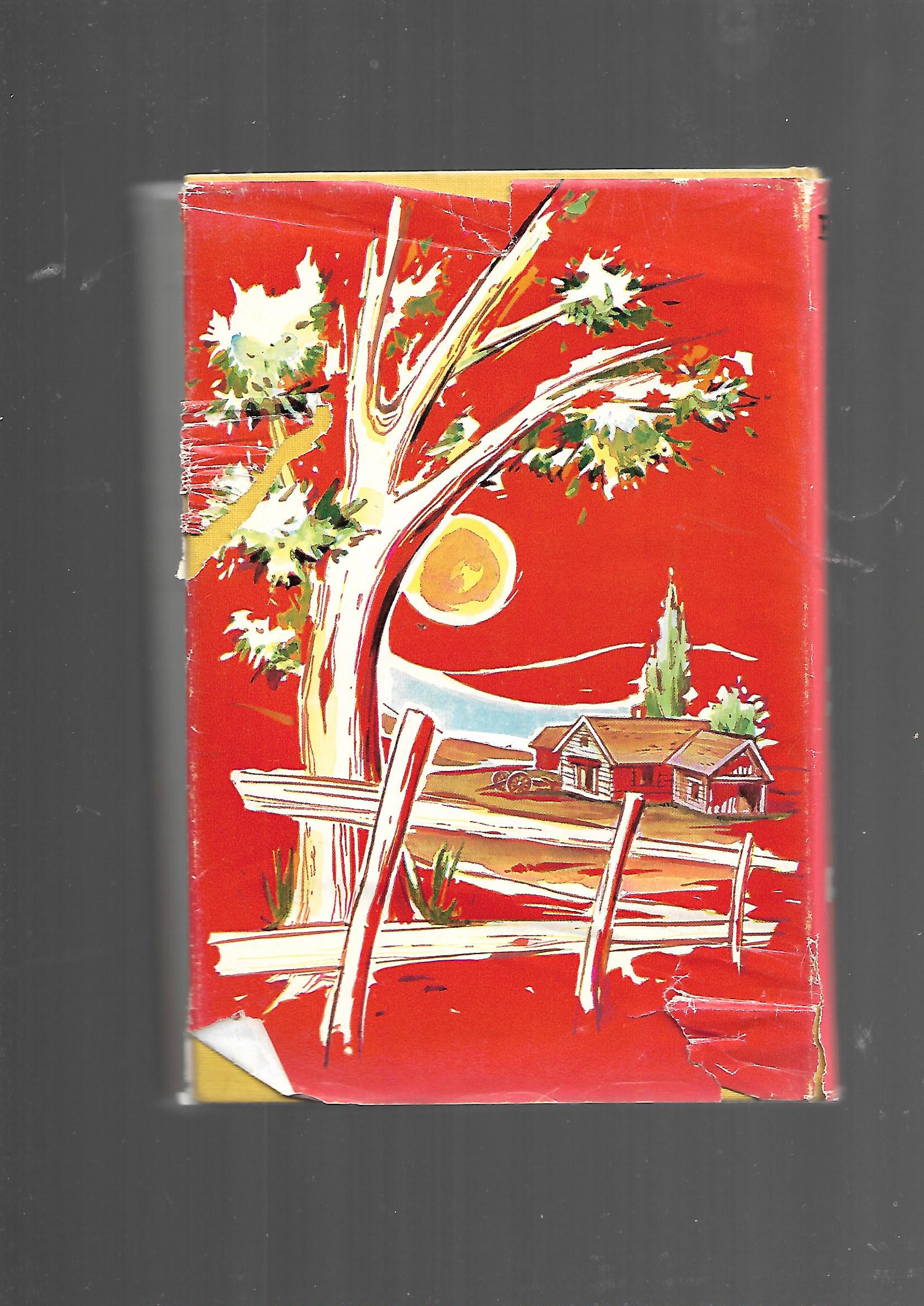 Fernseh-Nostalgie  Fernsehhund Lassie  Doris Schroeder Band 3 Das verbotene Tal Engelbert-Verlag 1961