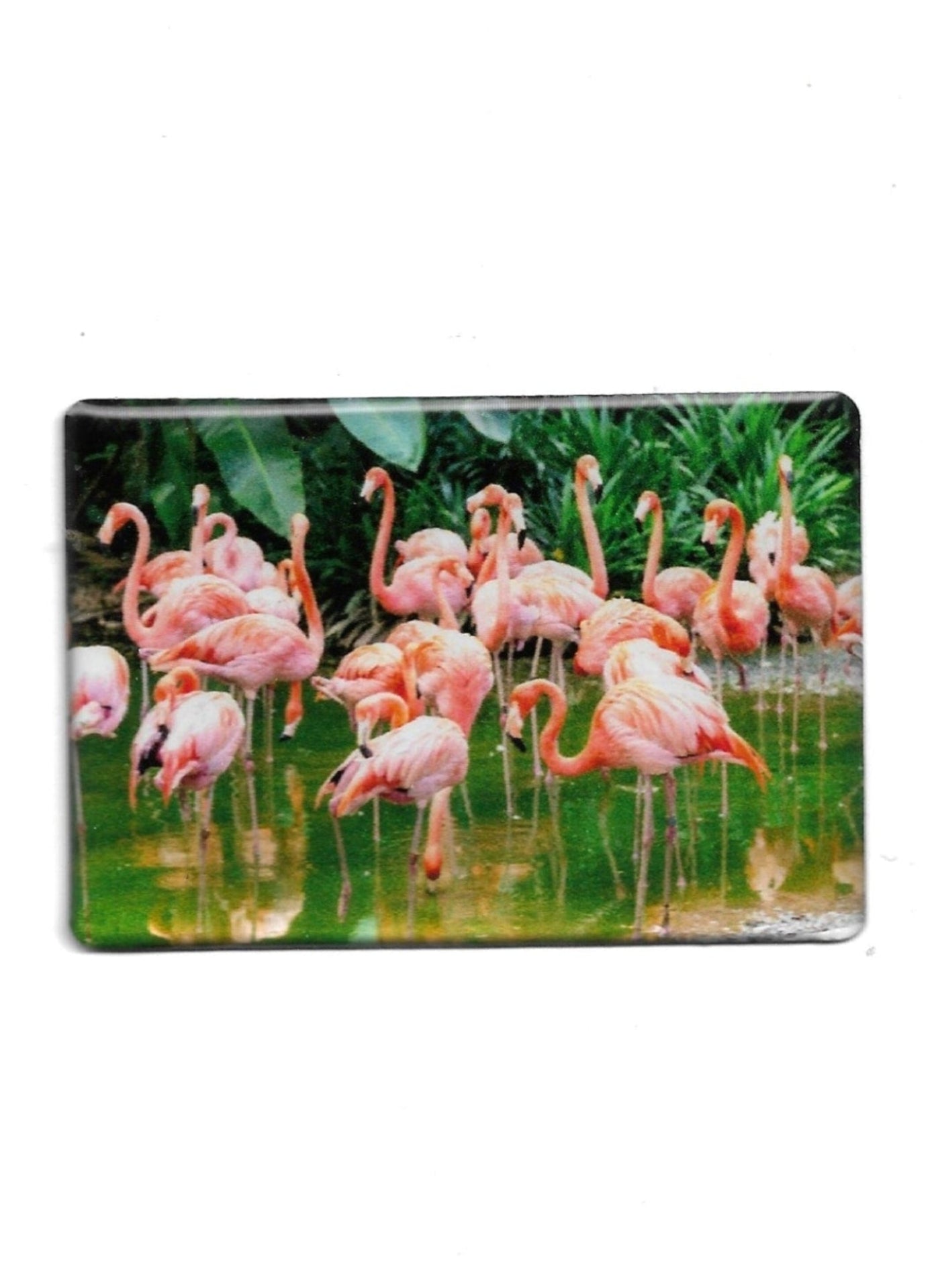 „Rechteckiger Fotomagnet mit Flamingo‑Motiv; stabile Ausführung mit Epoxidharzschicht; vollflächiger Magnet; Format ca. 8 × 5,5 cm; geeignet zum Befestigen mehrerer Notizzettel.“