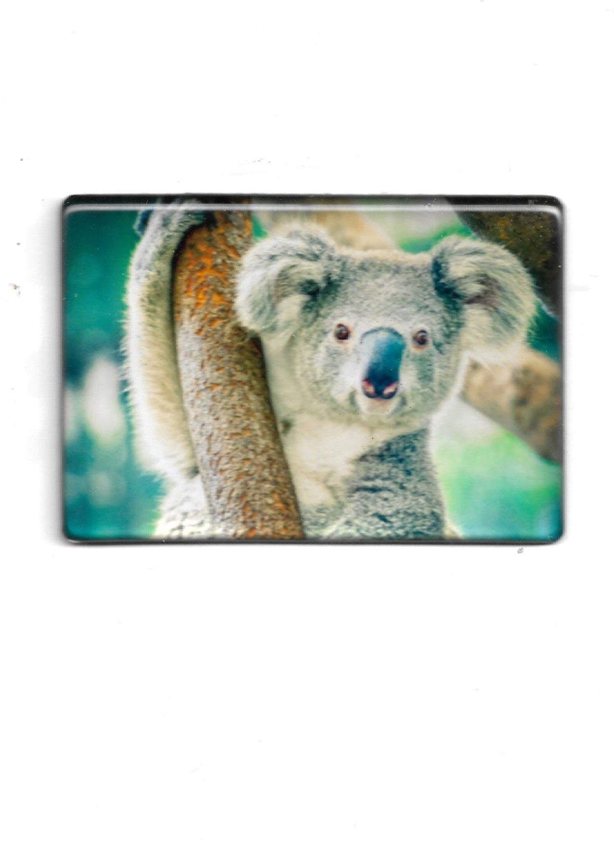 „Rechteckiger Fotomagnet mit Koala‑Motiv; stabile Ausführung mit Epoxidharzschicht; vollflächiger Magnet; Format ca. 8 × 5,5 cm; geeignet zum Befestigen mehrerer Notizzettel.“