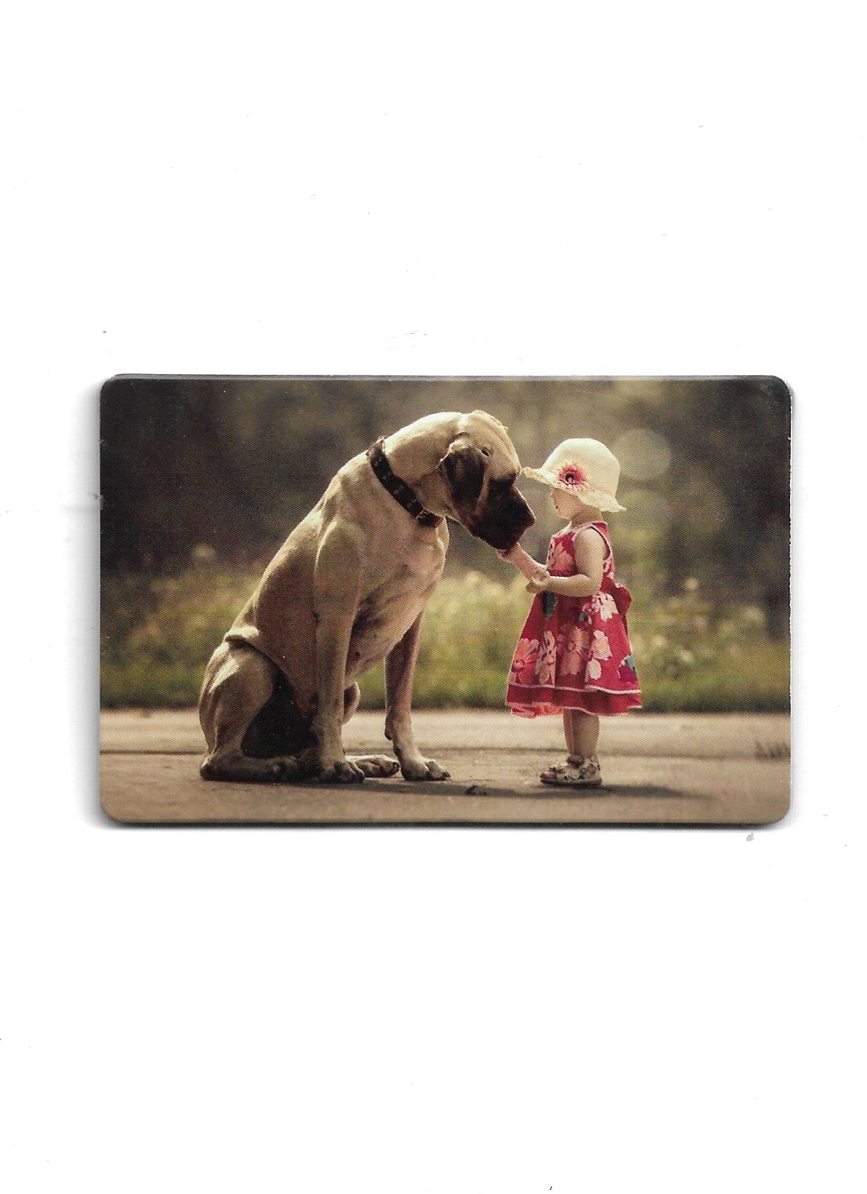 „Rechteckiger Softmagnet ‚Kleines Mädchen mit großem Hund‘; farbig bedruckt, leicht biegsam; große Magnetfläche 8,5 × 5,5 cm; geeignet zum Befestigen von Notizzetteln.“