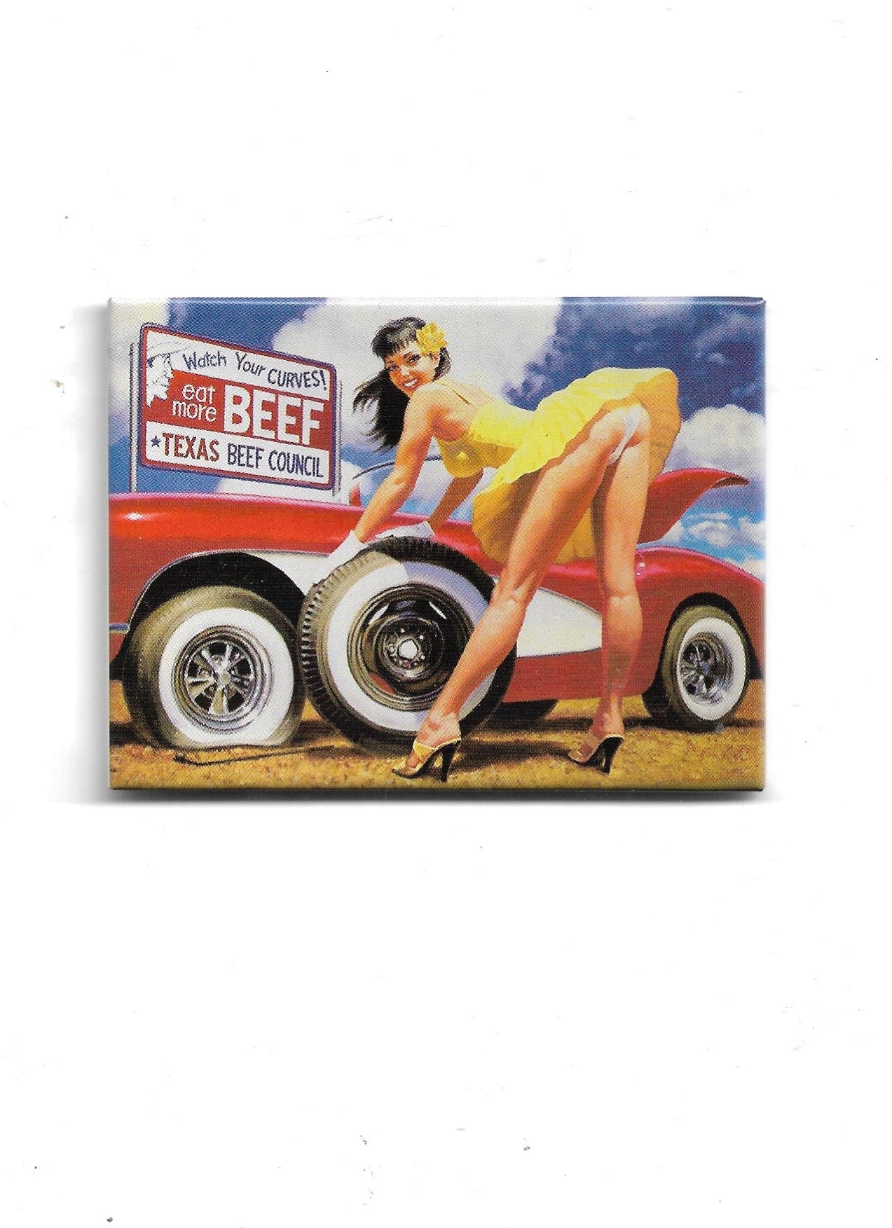 „Rechteckiger Kühlschrankmagnet ‚Pin Up – Watch your curves!‘; farbig bedrucktes, stabiles Blech; vollflächiger Magnet; Format ca. 6 × 8 cm; geeignet für mehrere Notizzettel.“