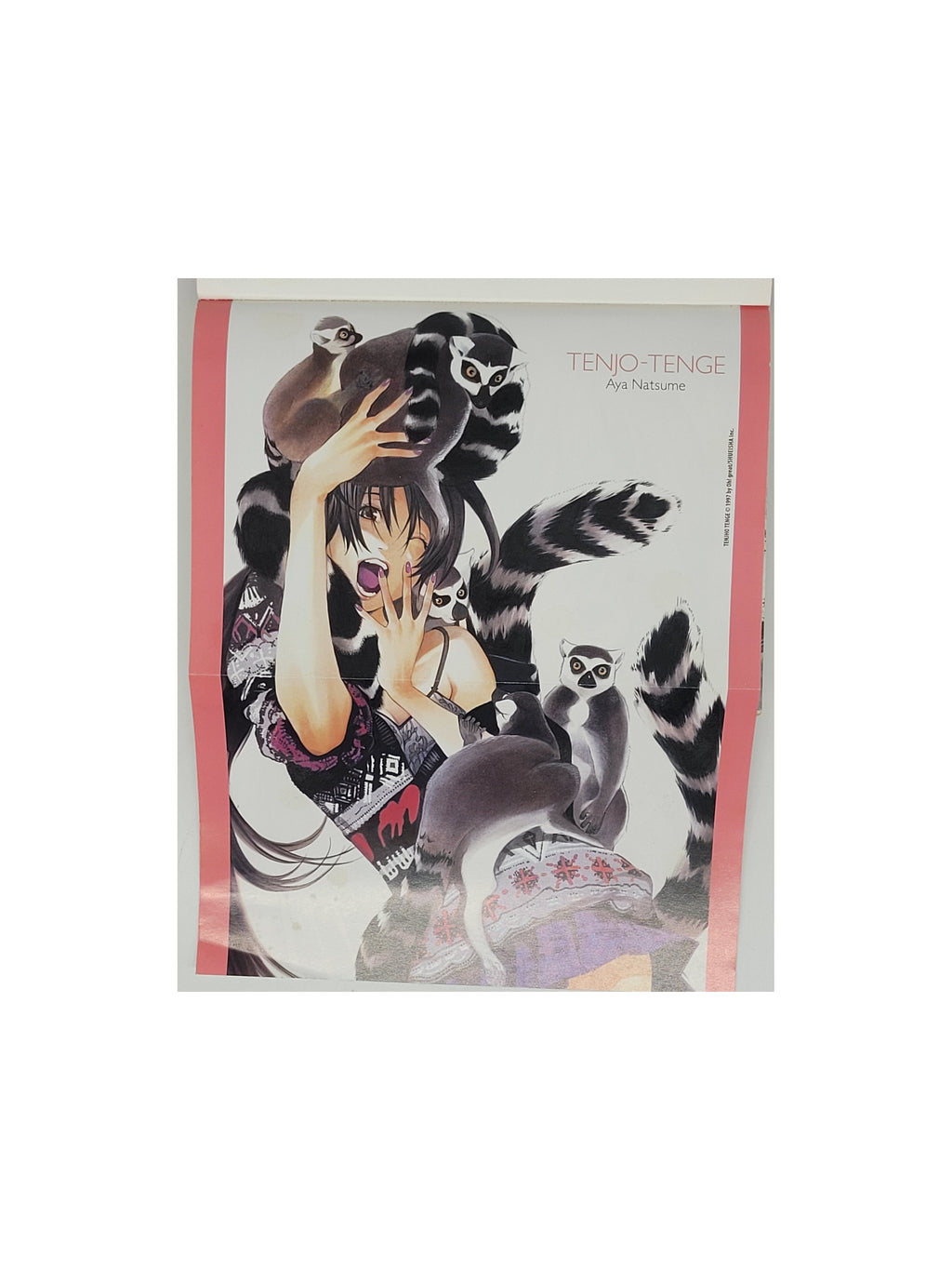 Manga Oh! great -Tenjo Tenge - Band 22  - Panini Comics 2011