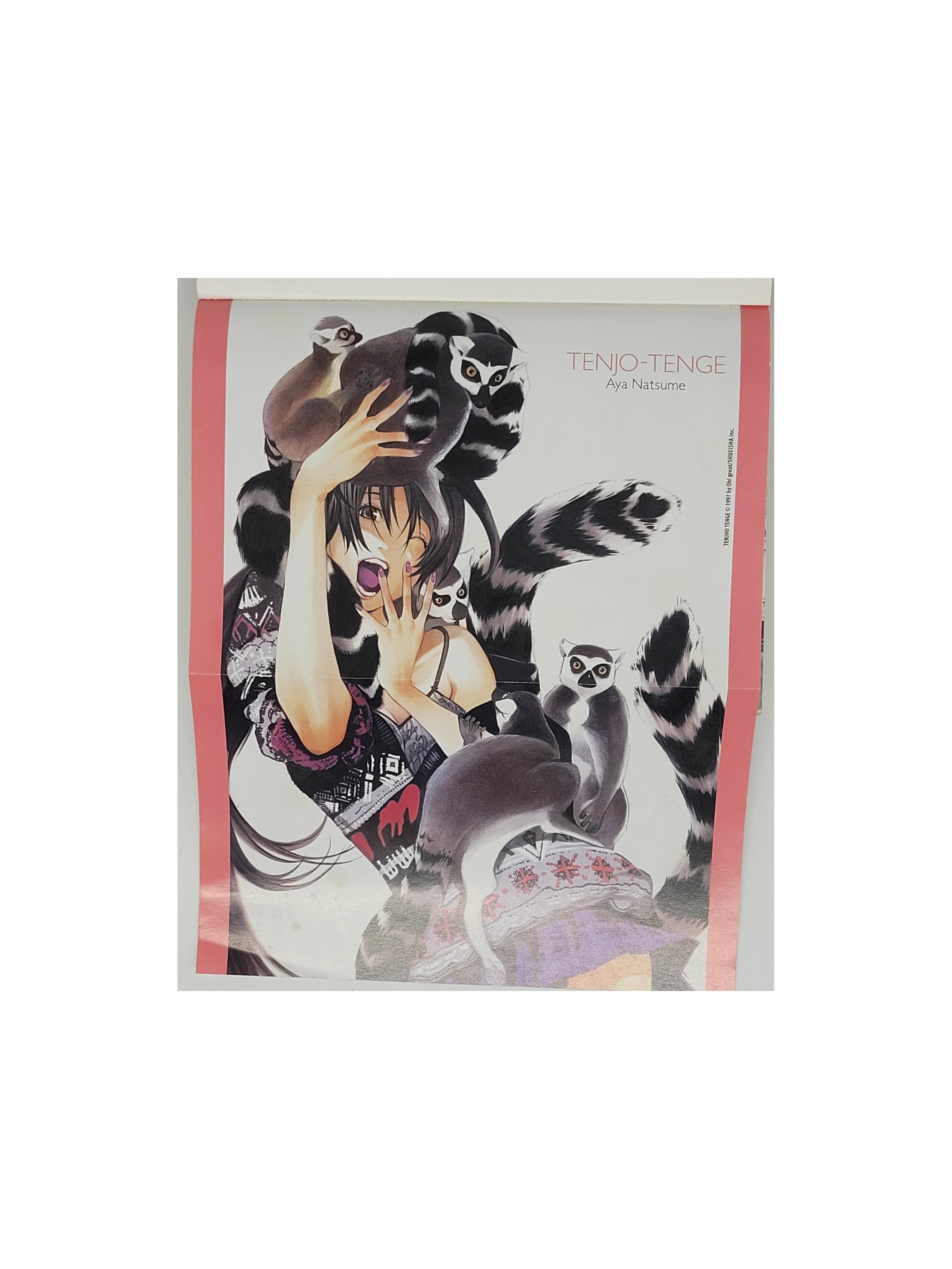 Manga Oh! great -Tenjo Tenge - Band 22  - Panini Comics 2011