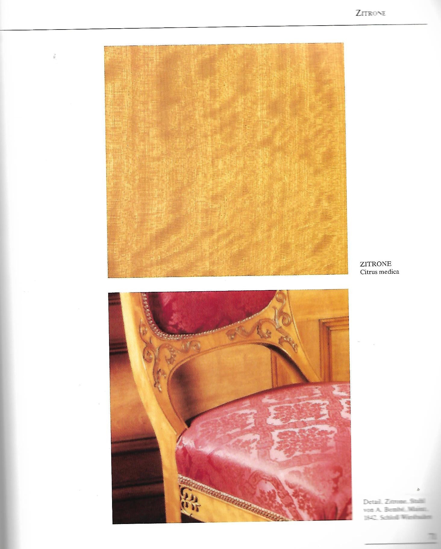 Kulturgeschichte Katalog Studiensammlung Möbelhölzer Ahorn, Palisander und Co