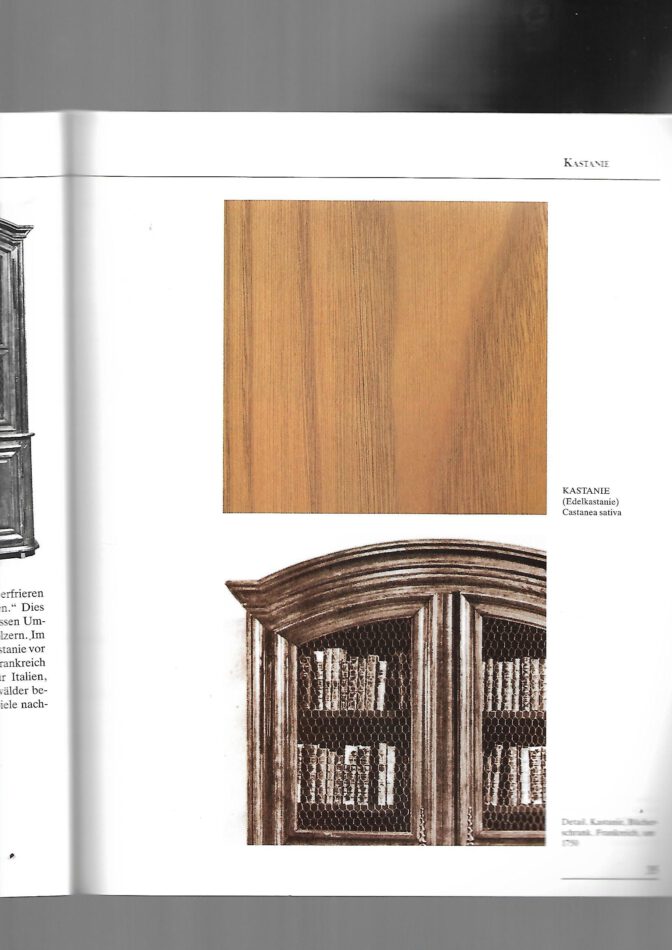 Kulturgeschichte Katalog Studiensammlung Möbelhölzer Ahorn, Palisander und Co