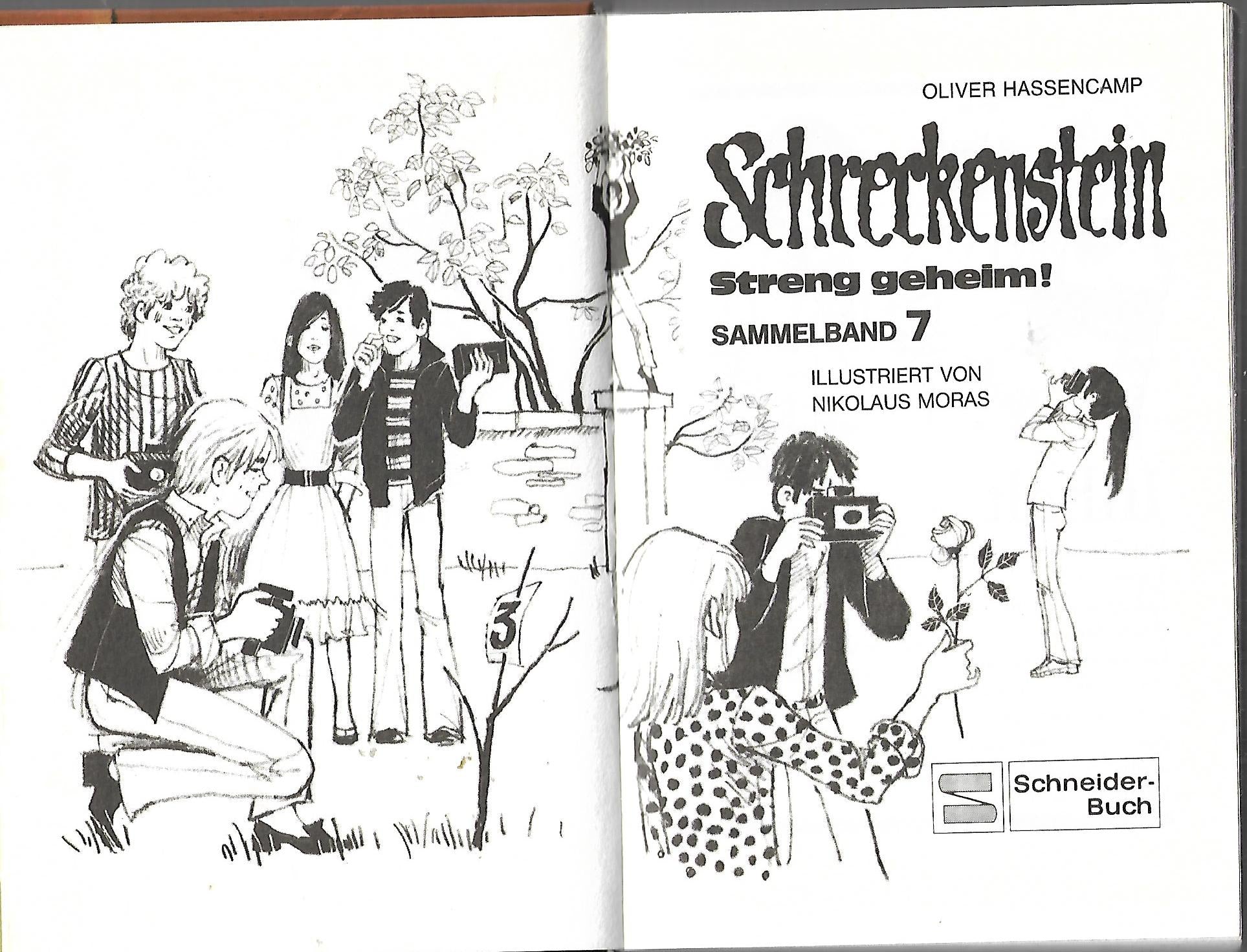 Jugendbuch Oliver Hassencamp Schreckenstein Streng geheim! Sammelband 7 Schneider-Buch 1984