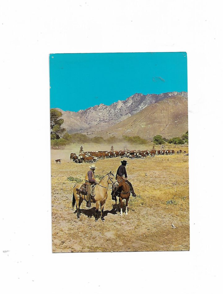 „Postkarte A6 Bonanza mit Lorne Greene und Pernell Roberts als Ben und Adam Cartwright; Western‑TV‑Motiv, stabiles Papier, gute Druckqualität, Format 10,5 × 14,8 cm, guter Zustand.“
