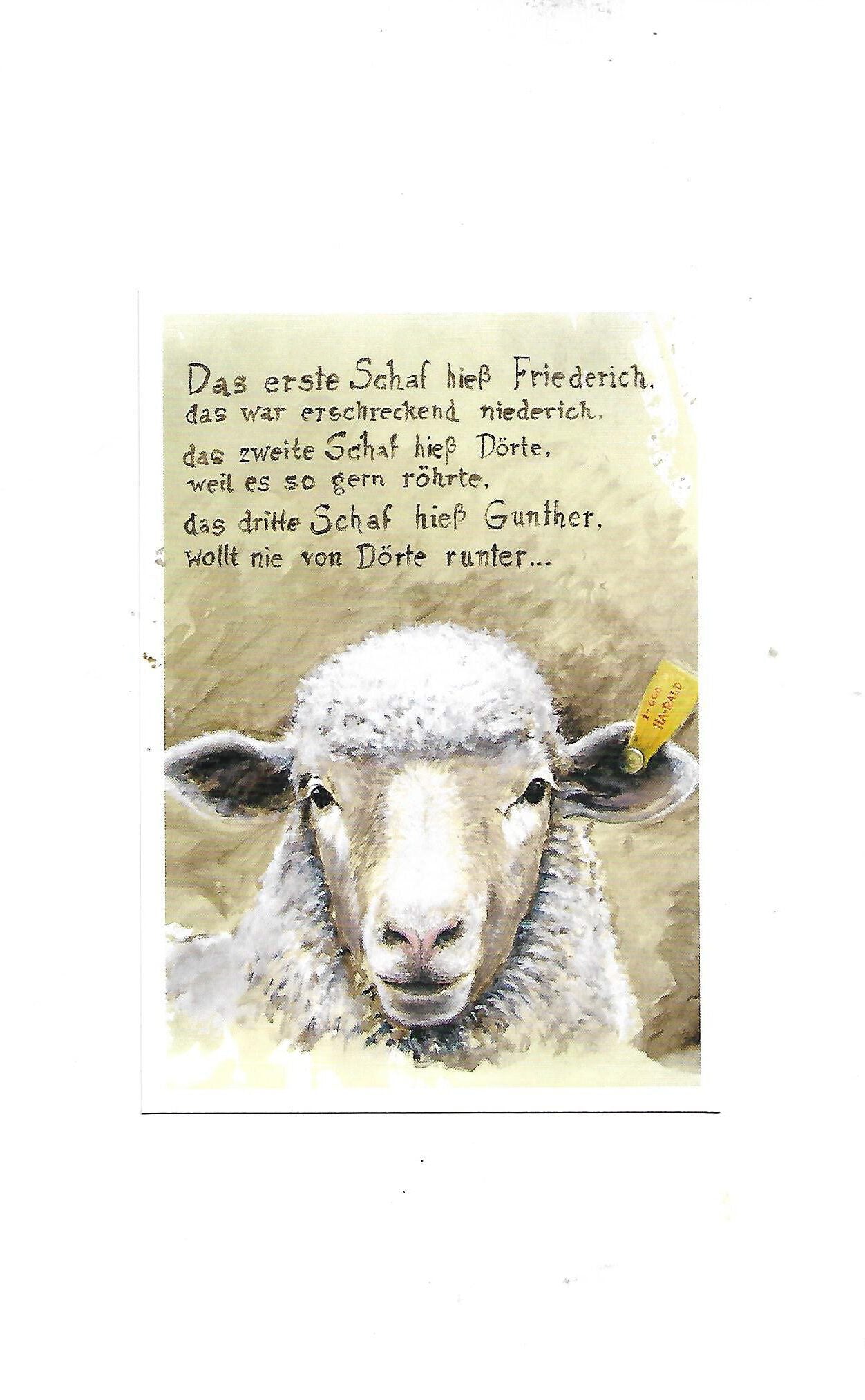 „Postkarte A6 mit dem humorvollen Motiv ‚Das erste Schaf hieß Friedrich‘; farbig gedruckt auf stabilem, hochwertigem Papier“
