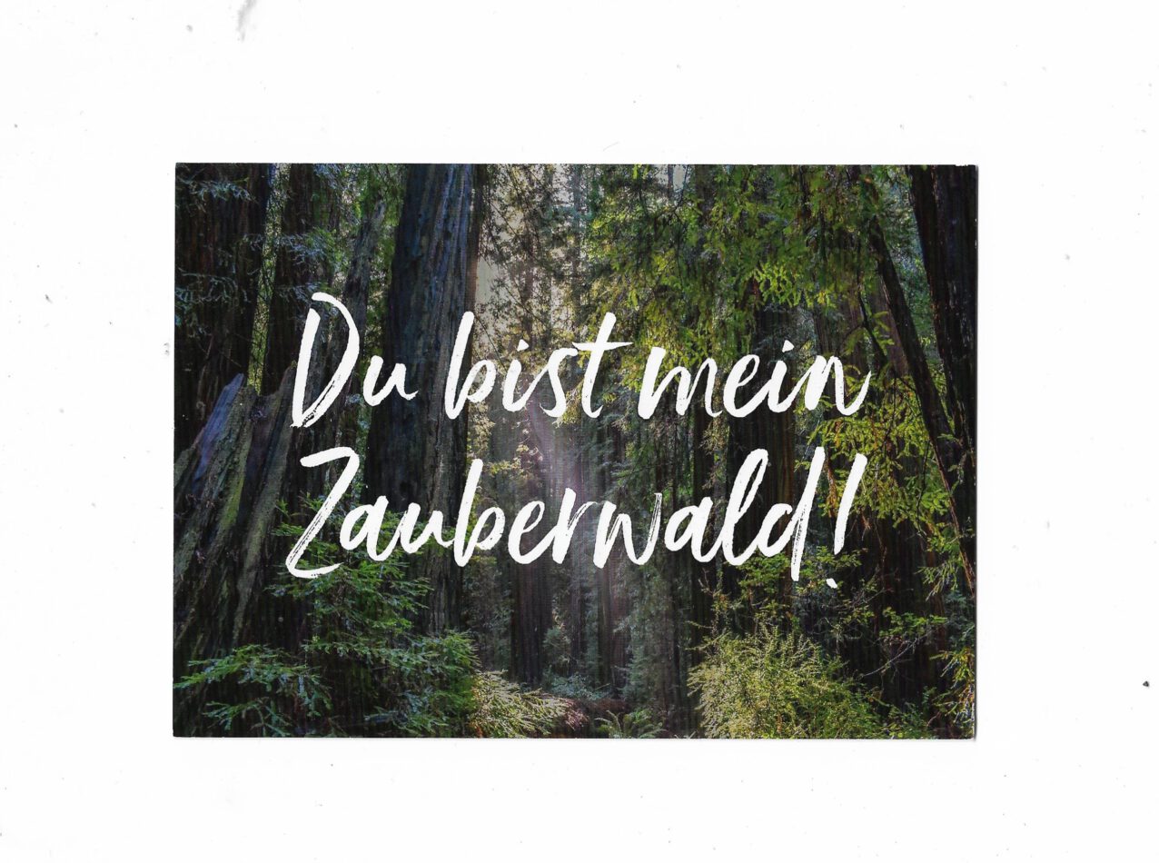 „Postkarte A6 ‚Du bist mein Zauberwald‘; farbig gedruckt auf stabilem Papier, 10,5 × 14,8 cm, hochwertige Qualität“  