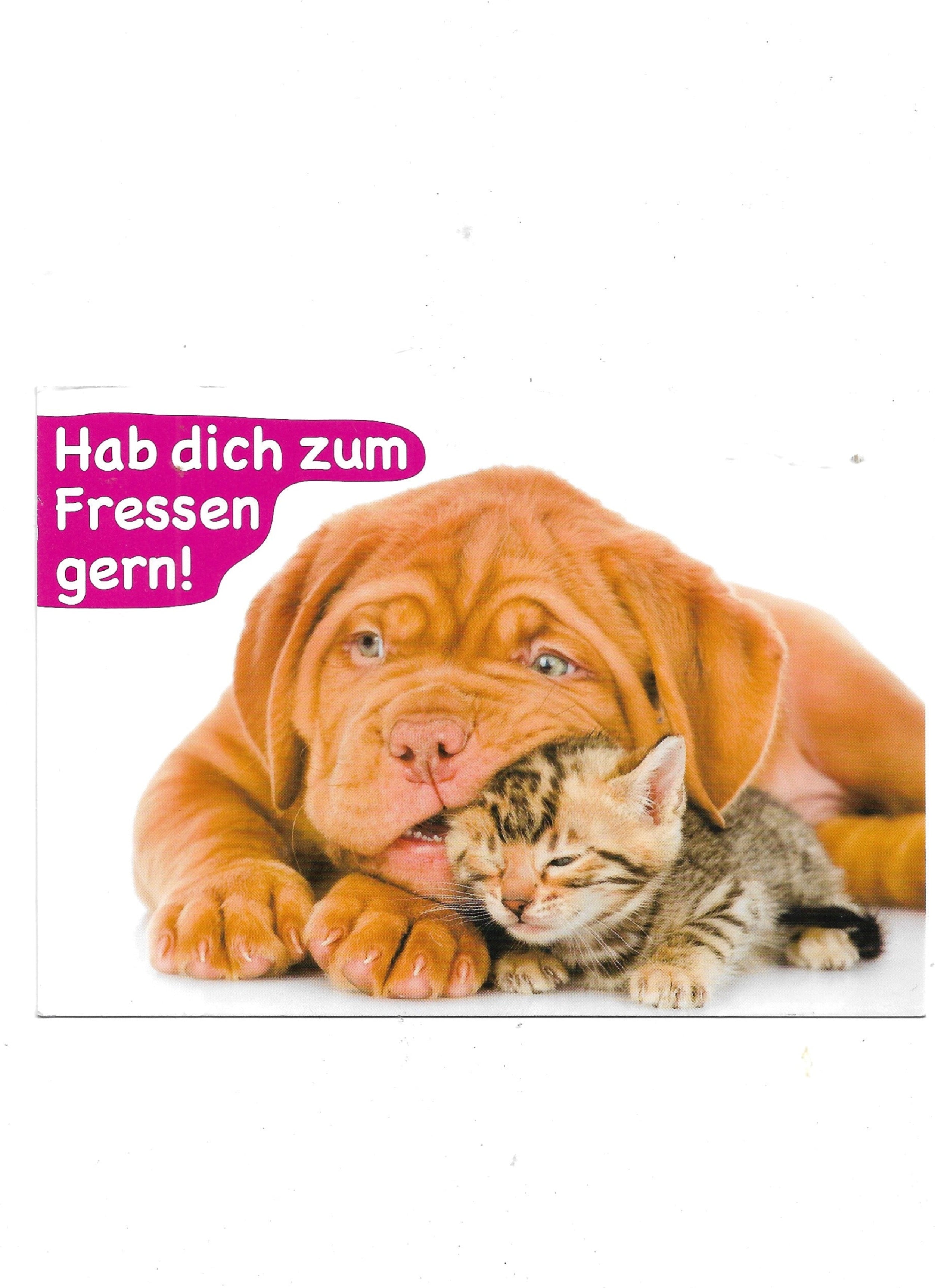 „Postkarte A6 ‚Hab dich zum Fressen gern‘; stabiles Papier, satte Farben, gute Druckqualität, Format 10,5 × 14,8 cm, 8 g, EAN 4260043444346“ 