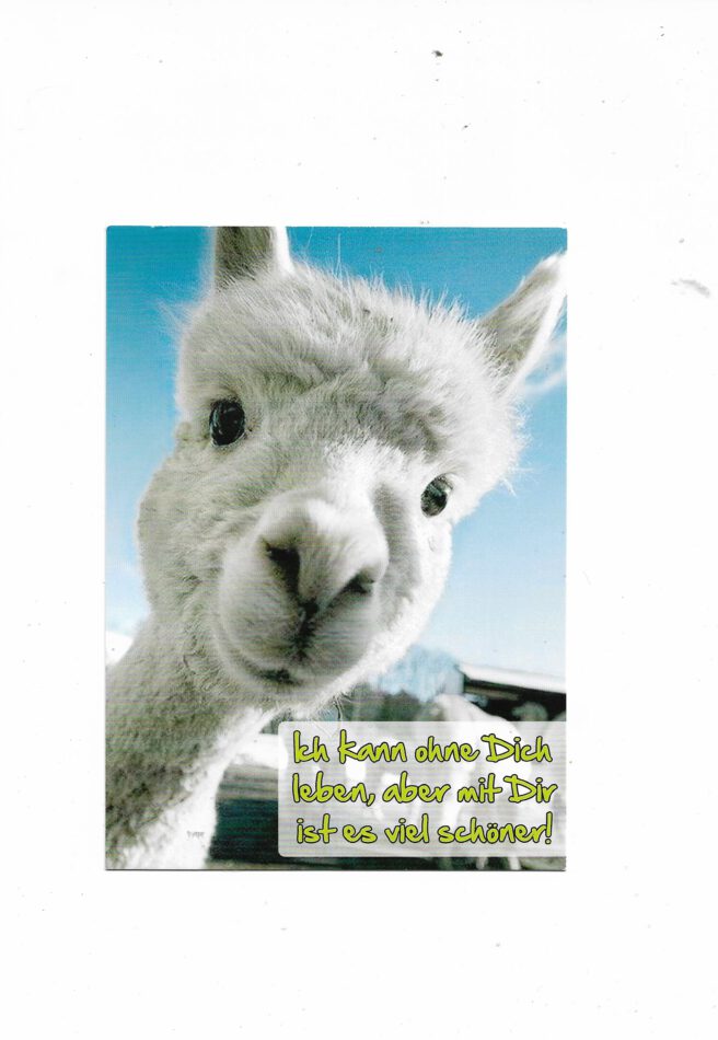 „Postkarte A6 ‚Kann ohne dich leben‘; stabiles Papier, satte Farben, gute Druckqualität, Format 10,5 × 14,8 cm, 8 g, EAN 4017272049121“