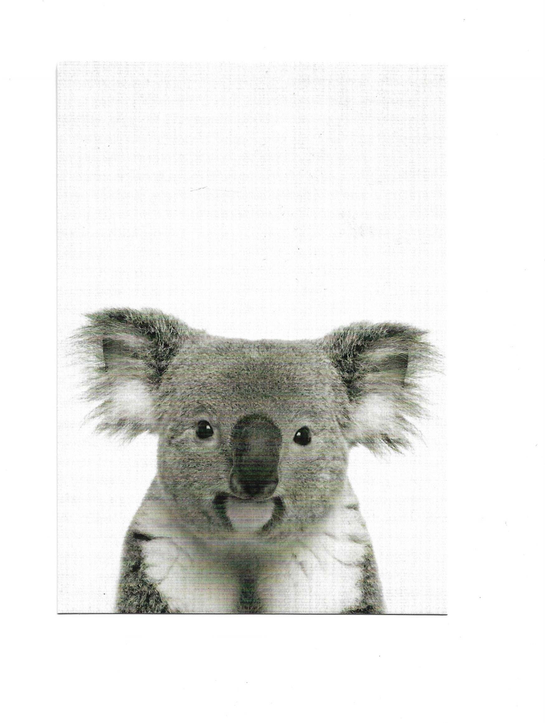 „Postkarte A6 ‚Koala‘; stabiles Papier, satte Farben, gute Druckqualität, Format 10,5 × 14,8 cm, 8 g, EAN 4017272209297, Hersteller Anderskartig – Modern Times GmbH“