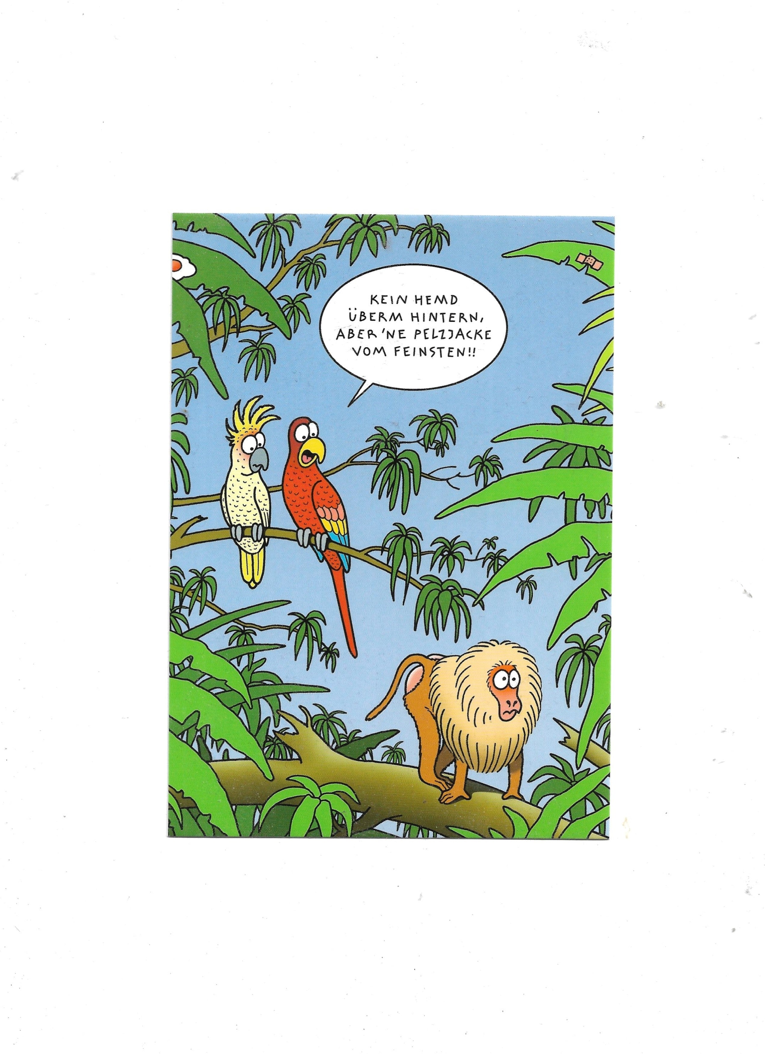 „Postkarte A6 mit Tetsche‑Cartoon ‚Pelzjacke vom Feinsten‘; farbig gedruckt auf stabilem Papier“