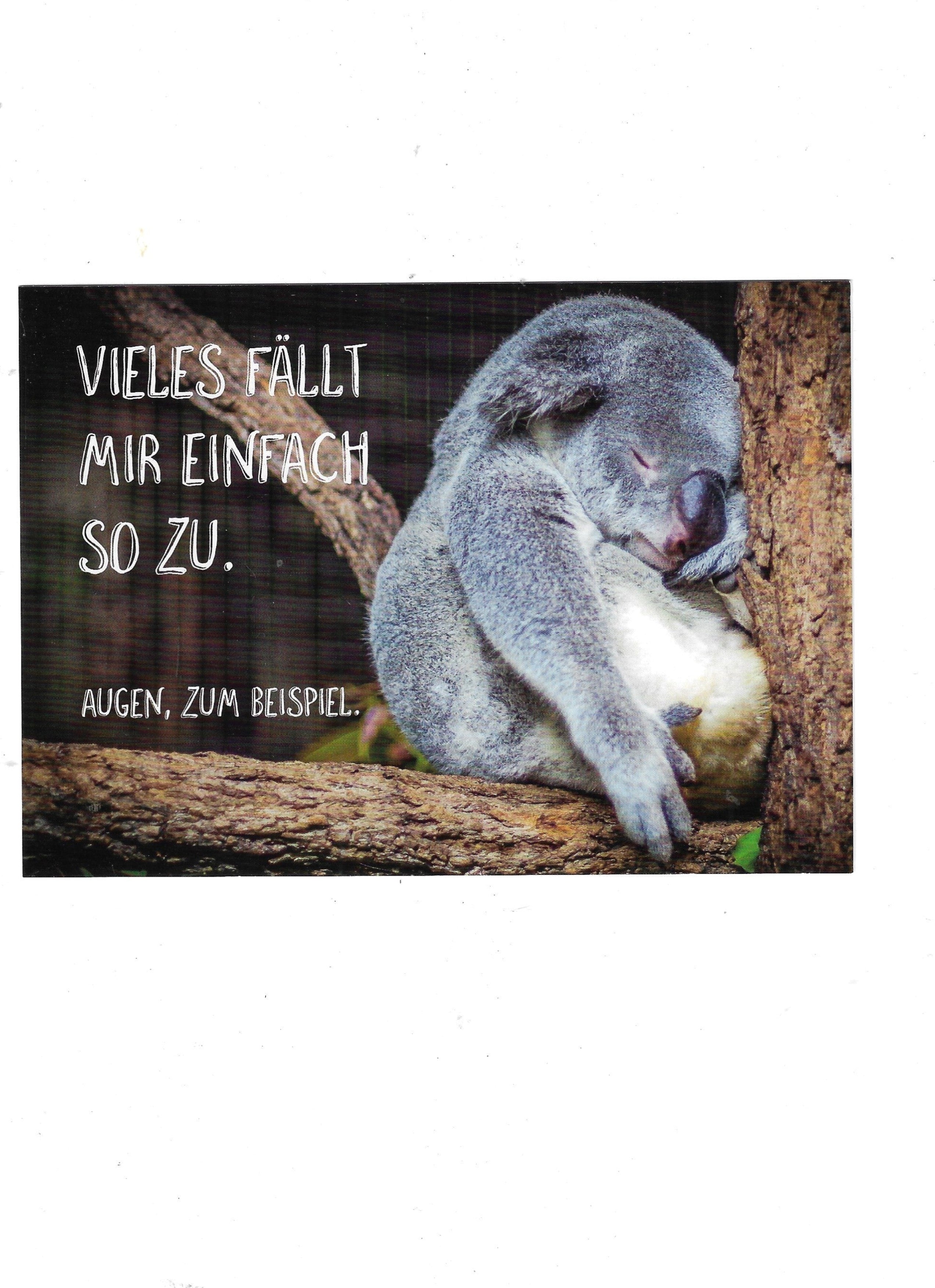 „Postkarte A6 ‚Vieles fällt mir einfach so zu. Augen zum Beispiel‘; stabiles Papier, satte Farben, gute Druckqualität, Format 10,5 × 14,8 cm, 8 g, EAN 4260529940003, Hersteller Anderskartig – Modern Times GmbH.“ 