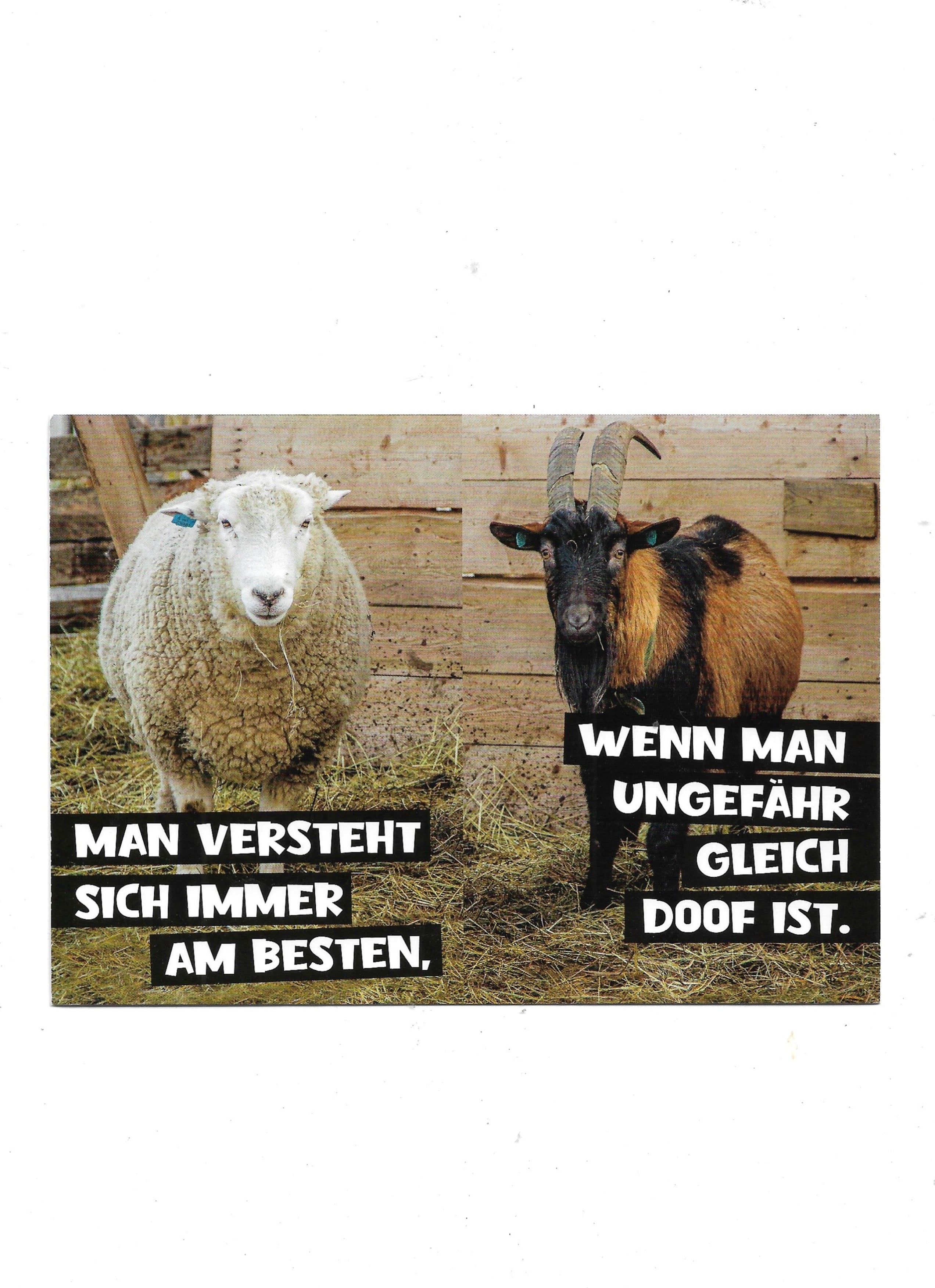 „Postkarte A6 ‚Man versteht sich immer am Besten…‘; stabiles Papier, satte Farben, gute Druckqualität, Format 10,5 × 14,8 cm, 8 g, EAN 4260371711233, Hersteller Anderskartig – Modern Times GmbH“