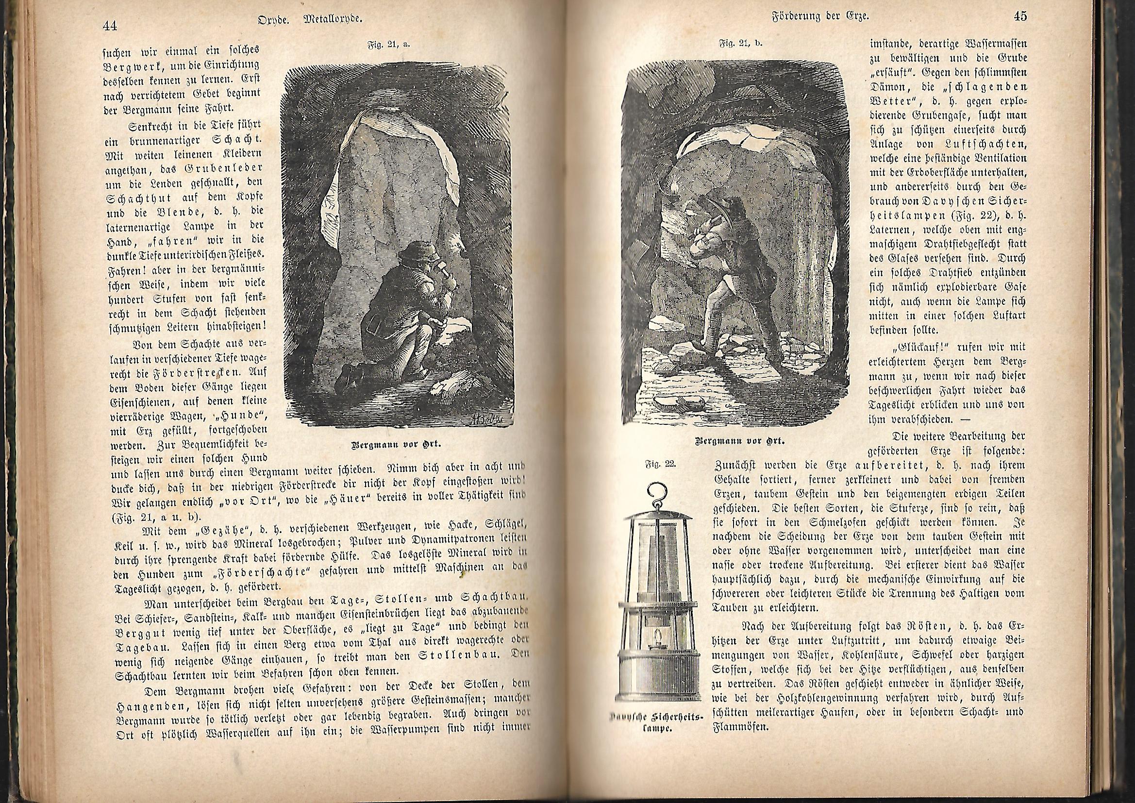 Alte Bücher Dr. M. Kraß, Dr. H. Landois Der Mensch und die drei Reiche der Natur 3.Teil