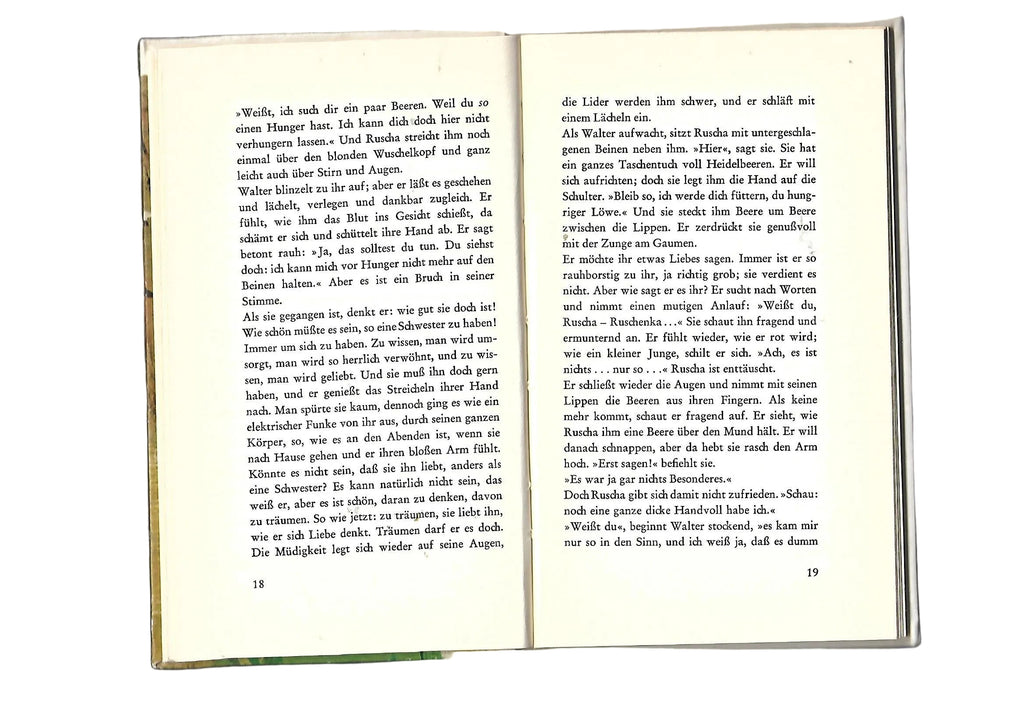 Erzählungen Erhard Josef Knobloch Der Sommer mit Ruscha - Geschichte einer jungen Liebe Eugen Salzer-Verlag Heilbronn 1963