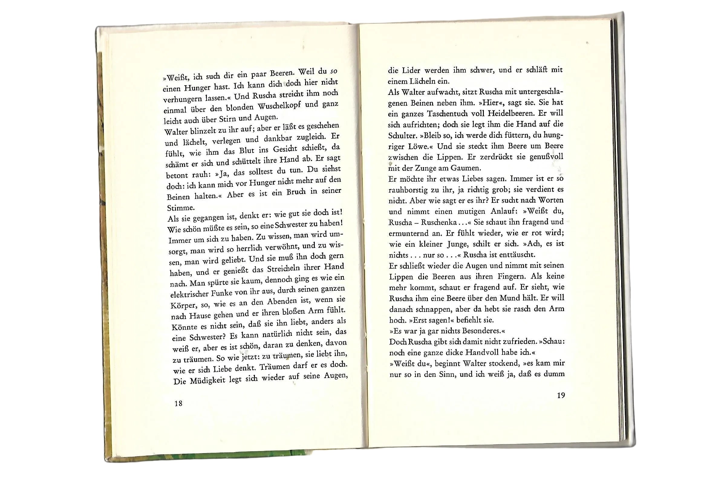 Erzählungen Erhard Josef Knobloch Der Sommer mit Ruscha - Geschichte einer jungen Liebe Eugen Salzer-Verlag Heilbronn 1963