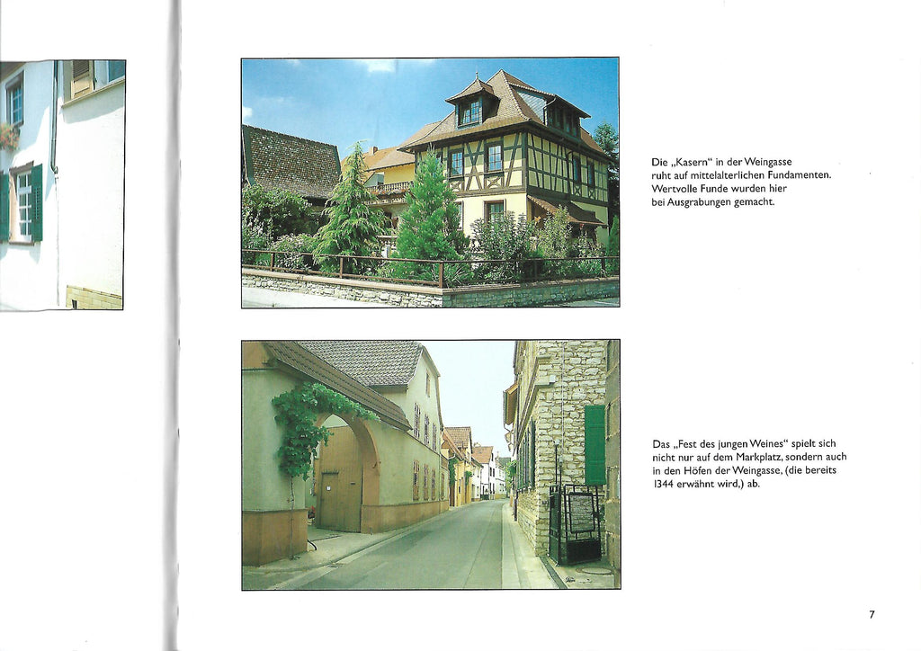 Sachbuch Hellriegel/Eckert Gau-Algesheim mit Kamera und Herz eines Winzers gesehen Verlag Gebr. Kügler 2000