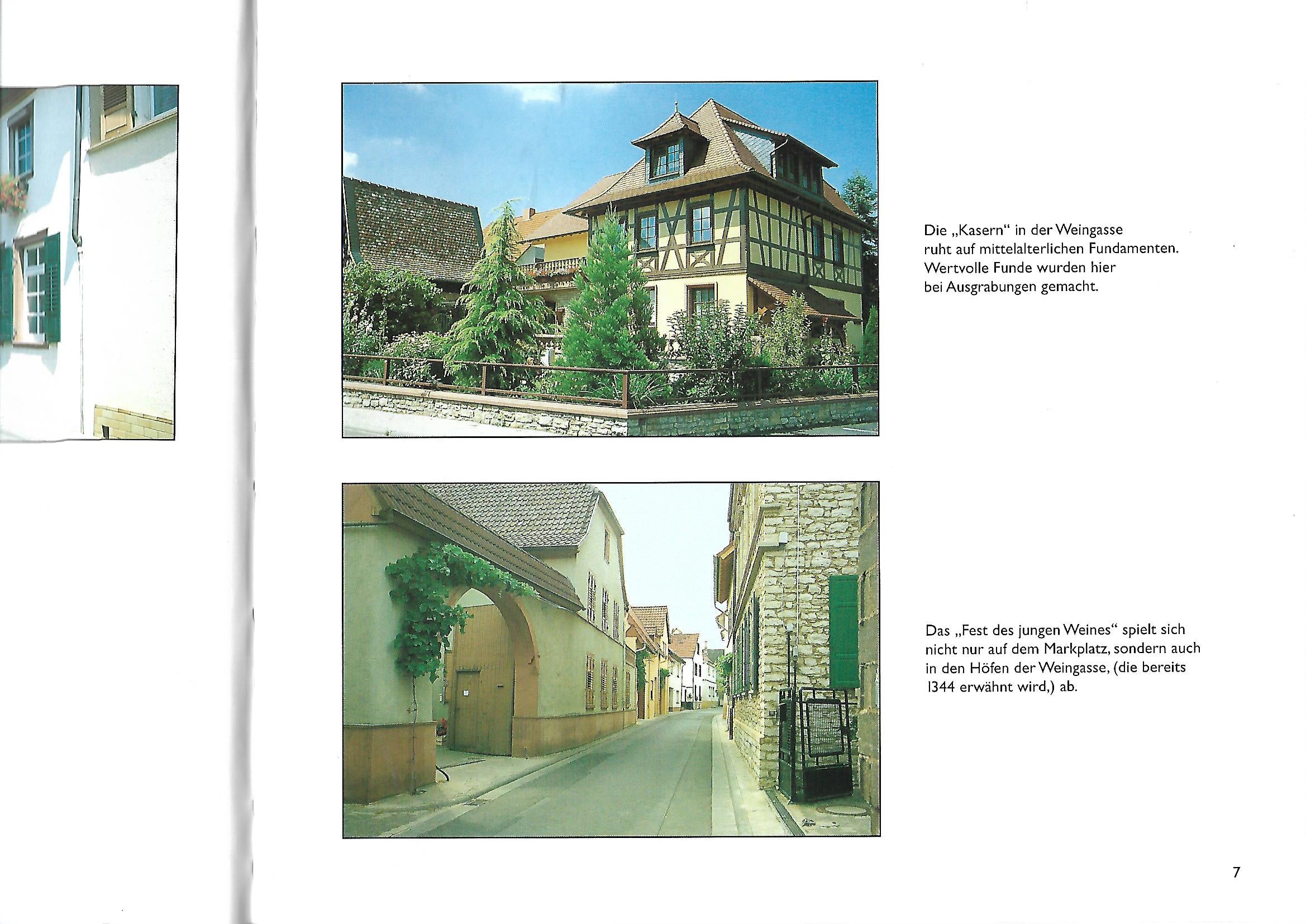 Sachbuch Hellriegel/Eckert Gau-Algesheim mit Kamera und Herz eines Winzers gesehen Verlag Gebr. Kügler 2000