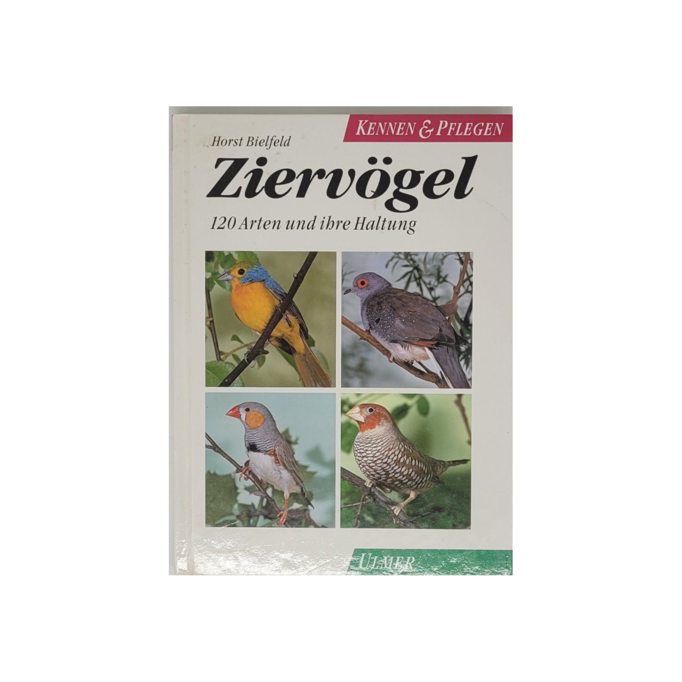 „Buchcover Ziervögel kennen & pflegen von Horst Bielfeld, Ulmer Verlag 1992, gebundene Ausgabe, guter Zustand“
