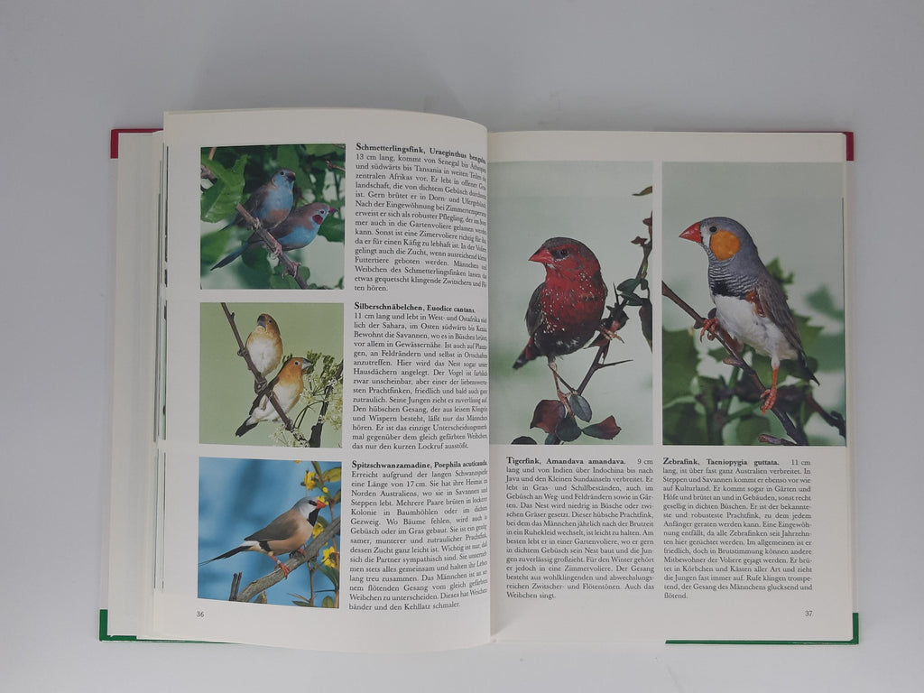 Sachbuch Horst Bielfeld Ziervögel Kennen & Pflegen Eugen Ulmer Verlag 1992