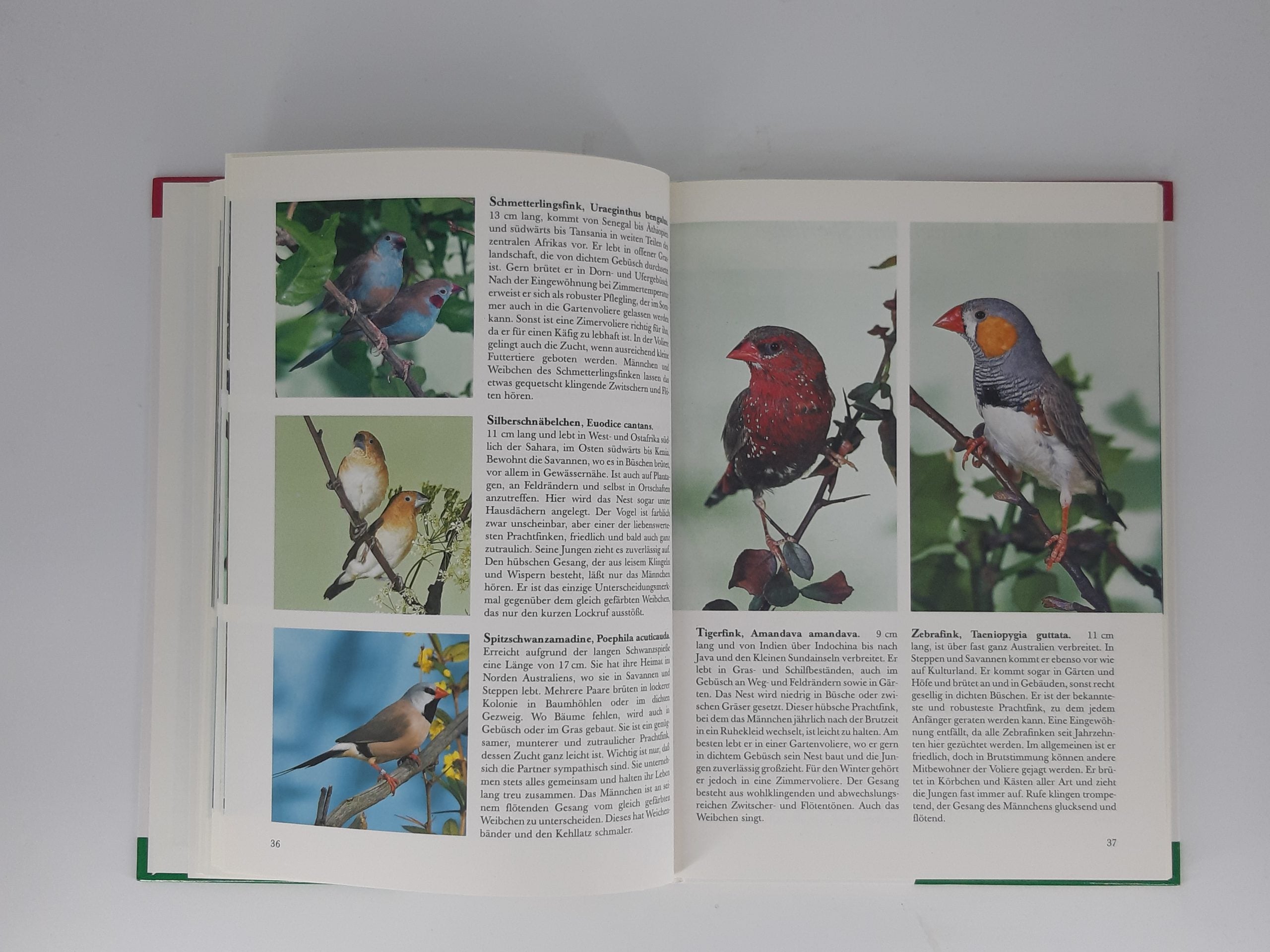 Sachbuch Horst Bielfeld Ziervögel Kennen & Pflegen Eugen Ulmer Verlag 1992