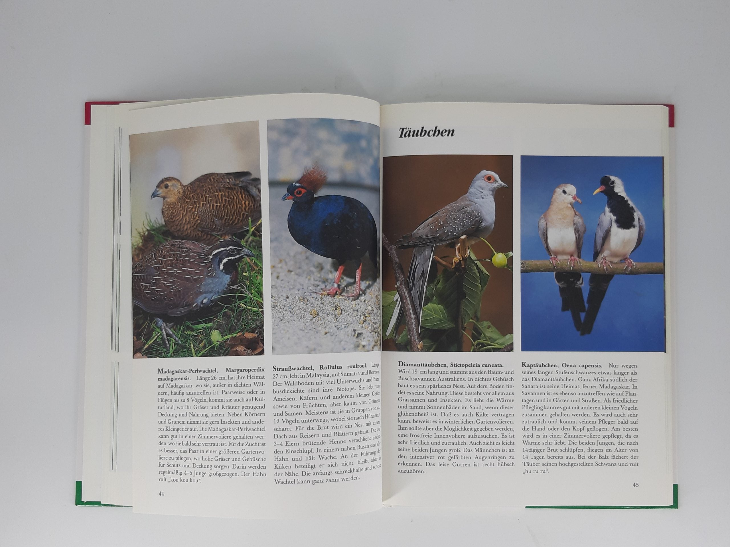 Sachbuch Horst Bielfeld Ziervögel Kennen & Pflegen Eugen Ulmer Verlag 1992