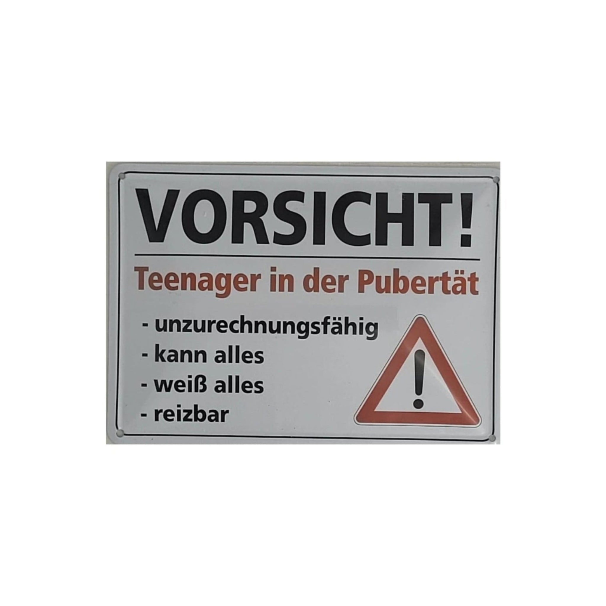 Spruchschild "VORSICHT ! - TEENAGER in der Pubertät.... (10 x 15 cm)