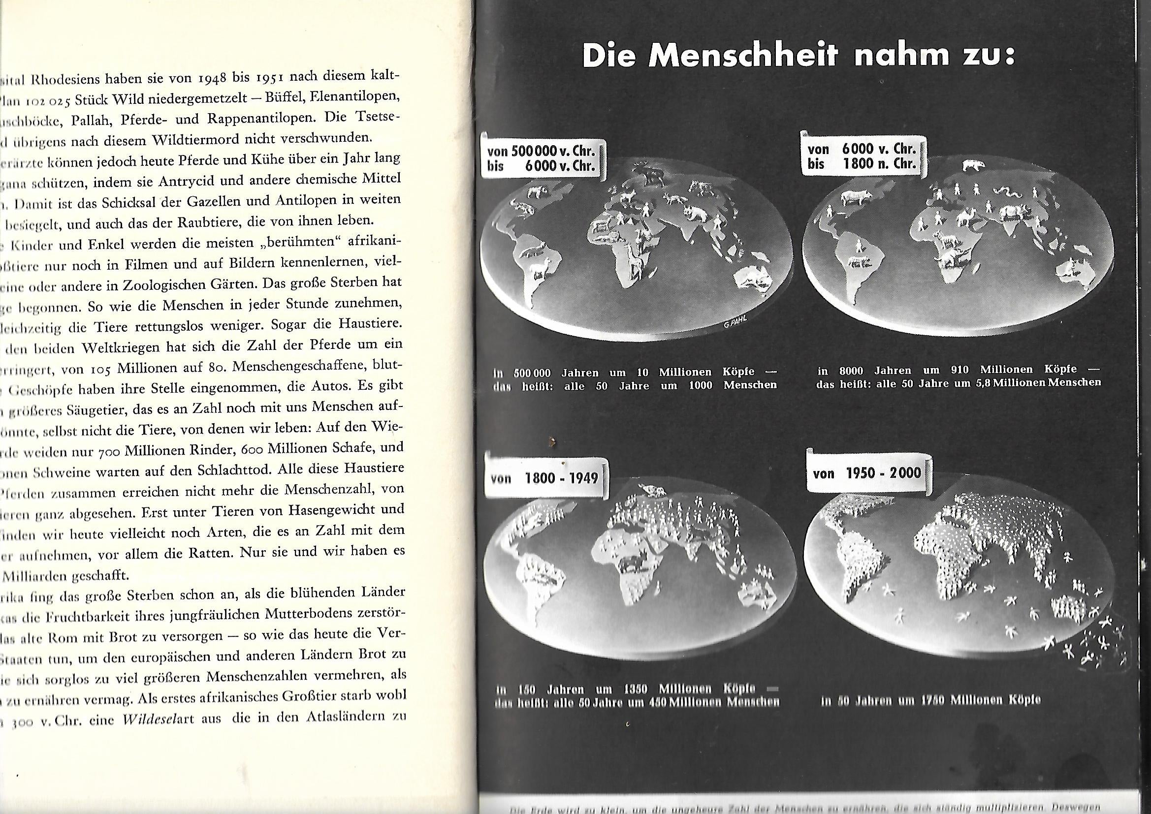 Fernseh-Nostalgie Bernhard Grzimek Kein Platz für wilde Tiere Kindler 1954