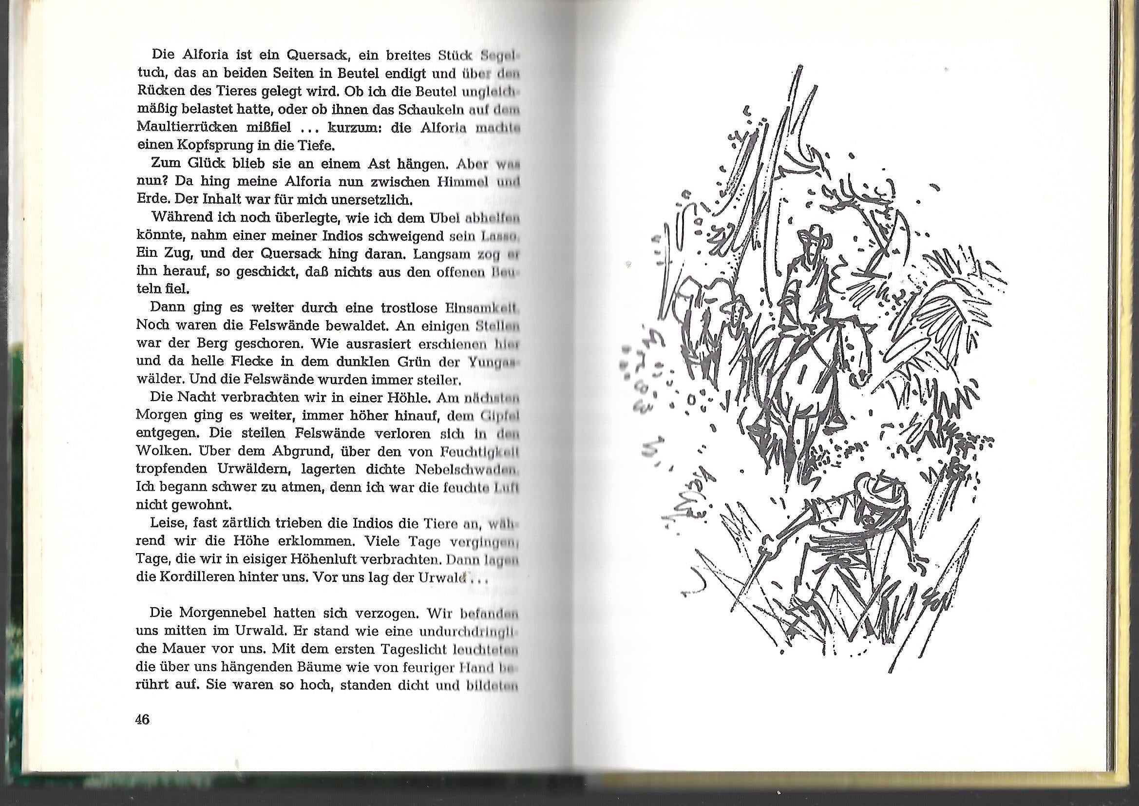 Jugendbuch GJB Kurt Vethake Der Hurrikan kommt Fischer 1968