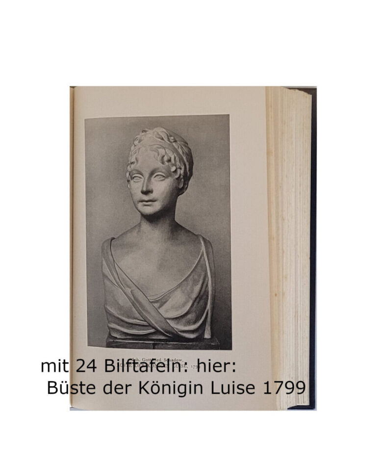 Zeitgeschichte Herbert Eulenberg Die Hohenzollern Bruno Cassirer Verlag 1928