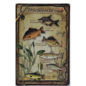 Blechschild Fischarten - Friedfische (20 x 30 cm)