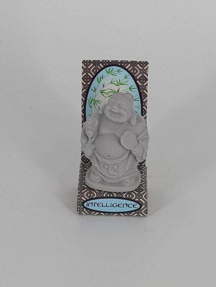 Radierer Buddha grau Intelligence