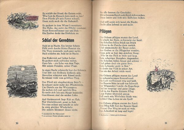 Lyrik Wolfgang Paquin Auf dem Lande Tiergedichte für große und kleine Leute Federzeichnungen von Ruth Kuboschek Druck Martin Saß & Co 1948 illustriertes Heft – Bild 3