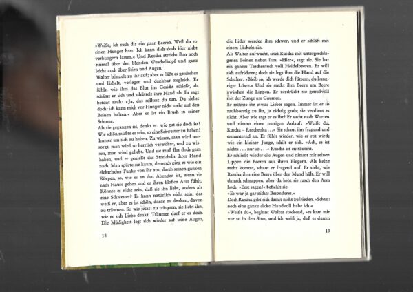 Erzählungen Erhard Josef Knobloch Der Sommer mit Ruscha - Geschichte einer jungen Liebe Eugen Salzer-Verlag Heilbronn 1963 – Bild 2