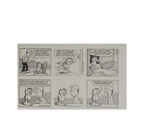 Englisch Jim Davies Garfield food for thought - his 13th book - Ballantine Books 1987 – Bild 5