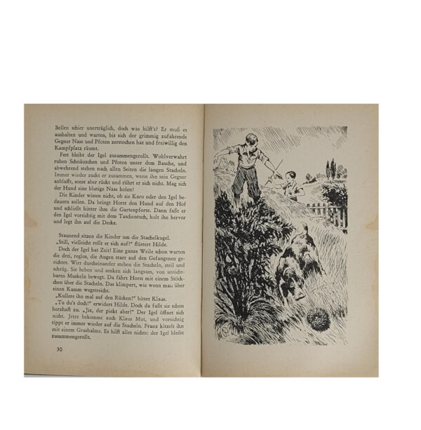 Jugendbuch Erich Kloss - Sommertage im Försterhaus – Bild 4