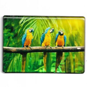 Magnet "Fotomagnet ARA"