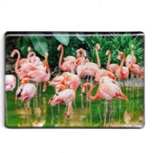 Magnet "Fotomagnet Flamingos"