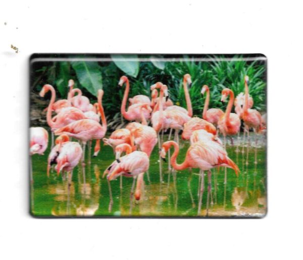 Magnet "Fotomagnet Flamingos"