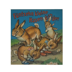 Kinderbuch Die Wunschbücher - Fünfzehn kleine Hasenkinder Nr. 5